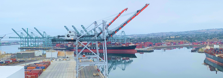 Docks in Torrance CA