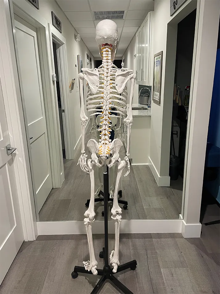 Chiropractic Torrance CA Make No Bones About It