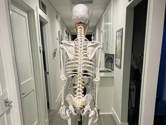 Chiropractic Torrance CA Make No Bones About It