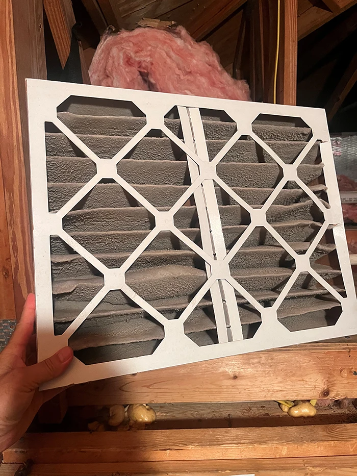 Chiropractic Torrance CA Dirty Air Filter 3