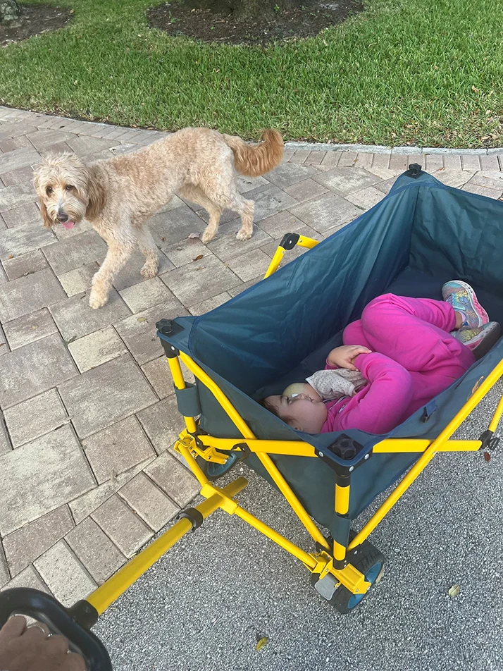 Goldendoodle Dog and Little Girl Lying Down in Nylon Wagon