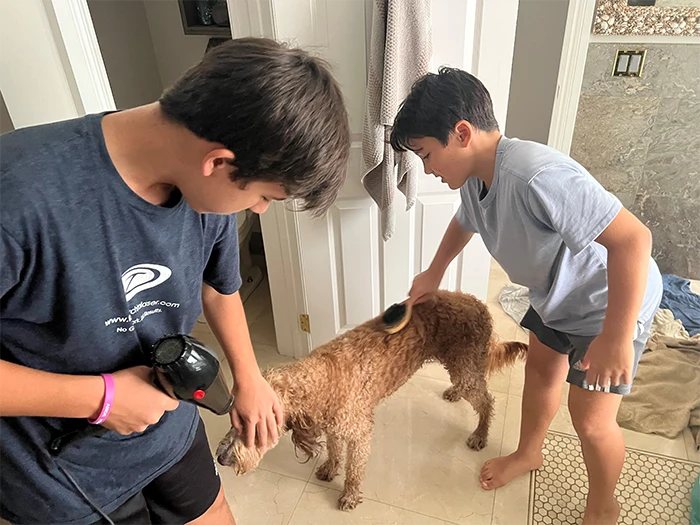 My Dog Needed an Intervention